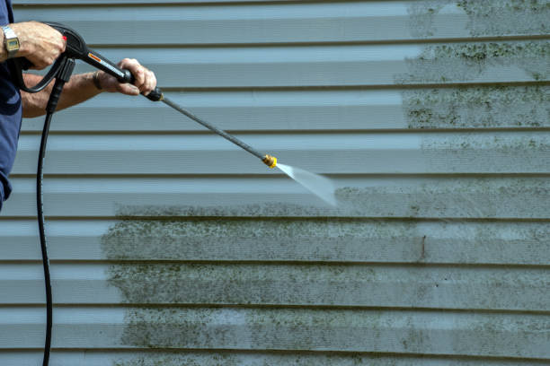 Best Pressure Washing Driveway  in Carrollton, MO