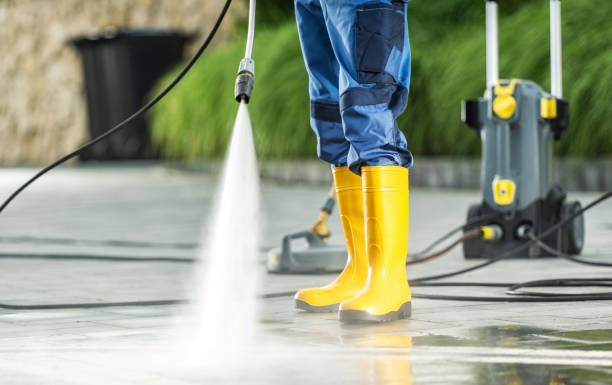 Best Local Pressure Washing Services  in Carrollton, MO