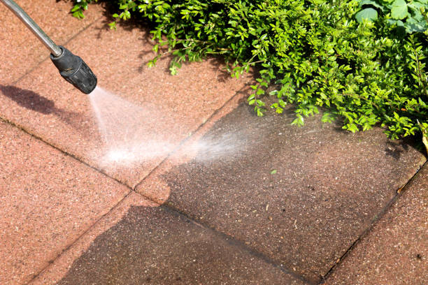 Best Pressure Washing Driveway  in Carrollton, MO